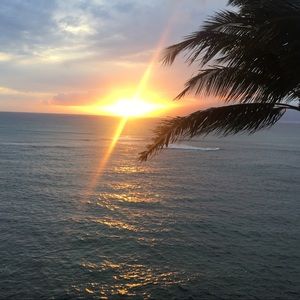 Meet your Posher, Avery